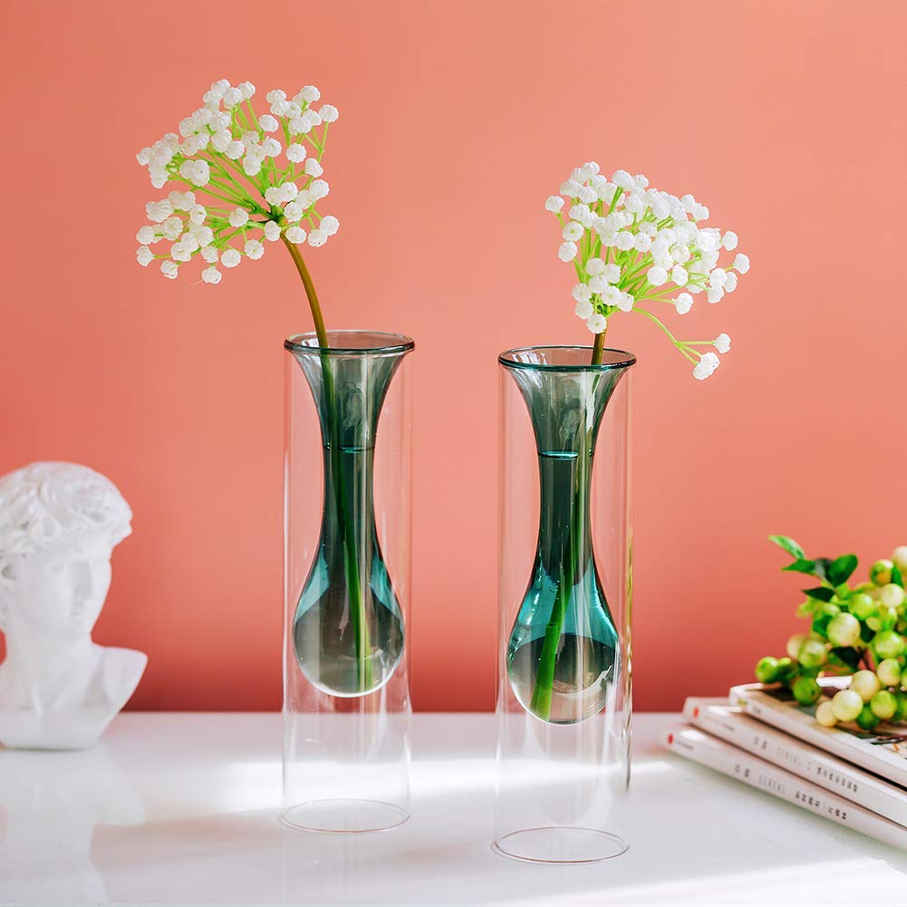 EdirFtra Vaso di Vetro a Doppia Parete, Vaso di Fiori di Vetro Set di 2, Vaso Bud in Vetro colorato, Vaso Bud Decorativo Chiaro per Eventi, Feste, centrotavola Floreale