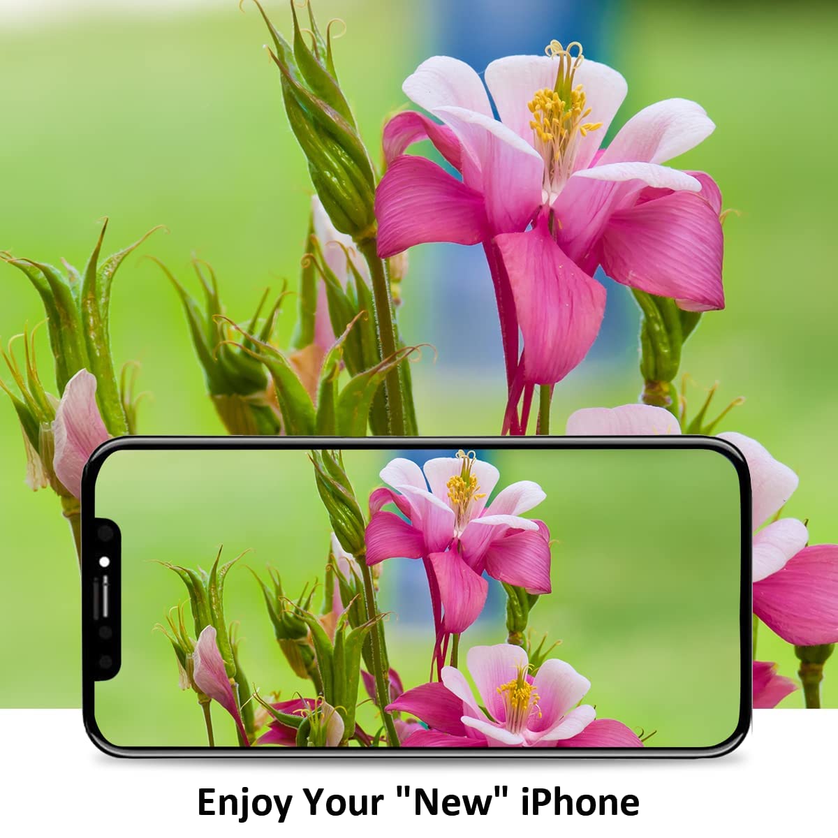 Display per iPhone 11 Schermo LCD Sostituzione Vetro Schermo Parti 6,1 Pollici Touch Screen Digitizer di Ricambio con Kit di Strumenti di Riparazione