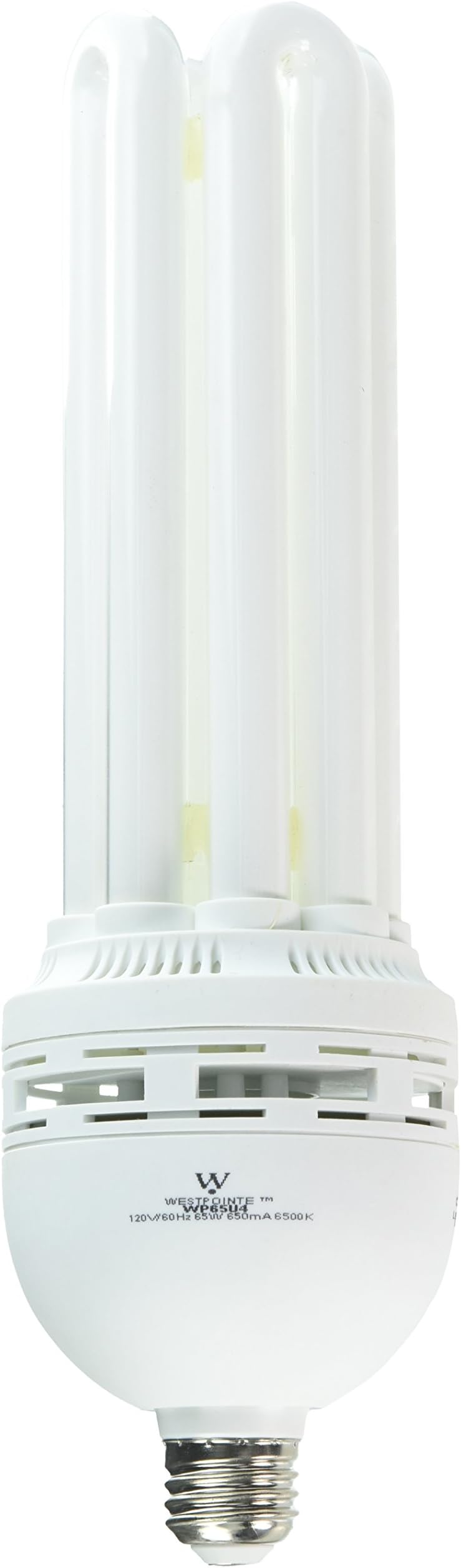 Westpointe 4U65DL1B 65W 4U Daylight Cfl Bulb Compact Fluorescent Photo Bulb Photography