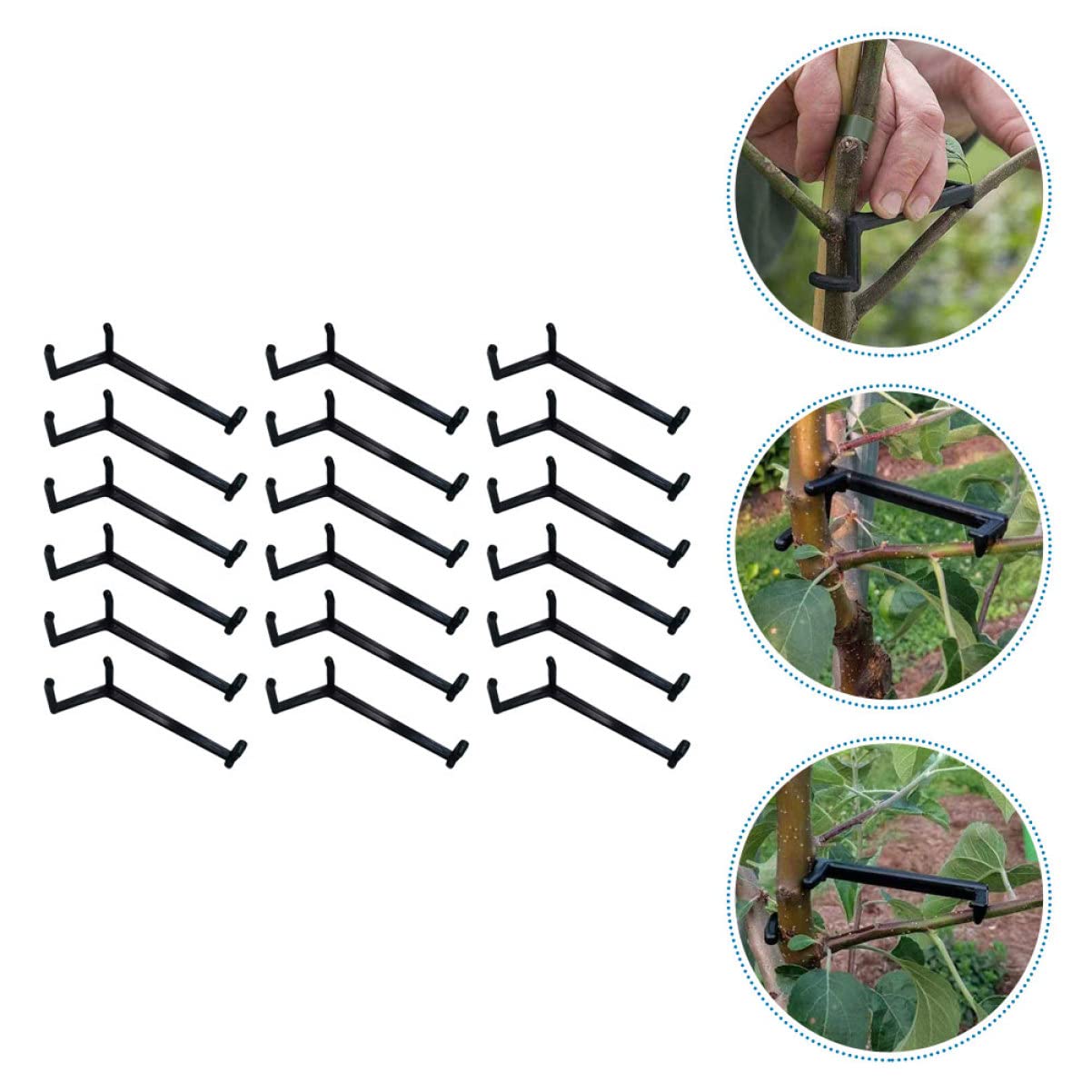 Toddmomy 2 Sätze Pflanzenzweig Biegemittel Verstellbare Clips Für Formgebung Von Obstbäumen Und Blumen Für Pflanzen Training Unterstützung Wachstums 25 Stücke * 2