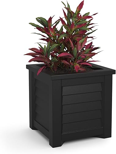 Mayne 5866-B Lakeland - Maceta cuadrada para patio, 16 x 16 pulgadas, color negro