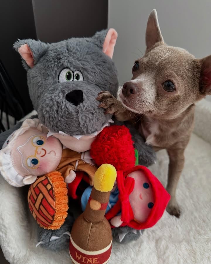 Nocciola 6 in 1 Hide and Seek Funny Squeaky Dog Plush Toy, Puppy Interactive Puzzle Crinkle Dog Toys to Keep Them Busy - Image 2