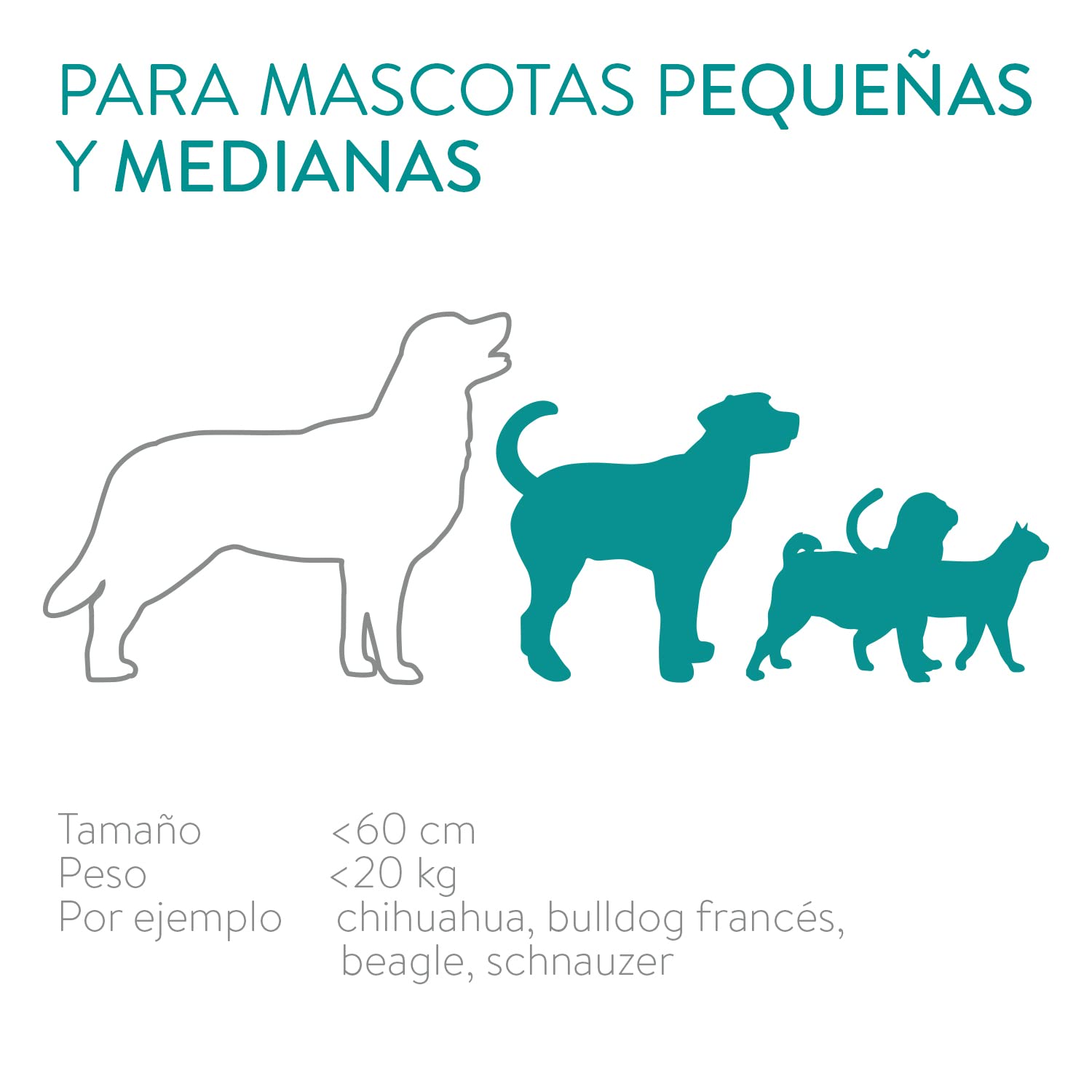 Navaris Dispensador de Comida automático con Temporizador - Comedero automático de 6L para 4 porciones de Comida diarias - para Perros y Gatos