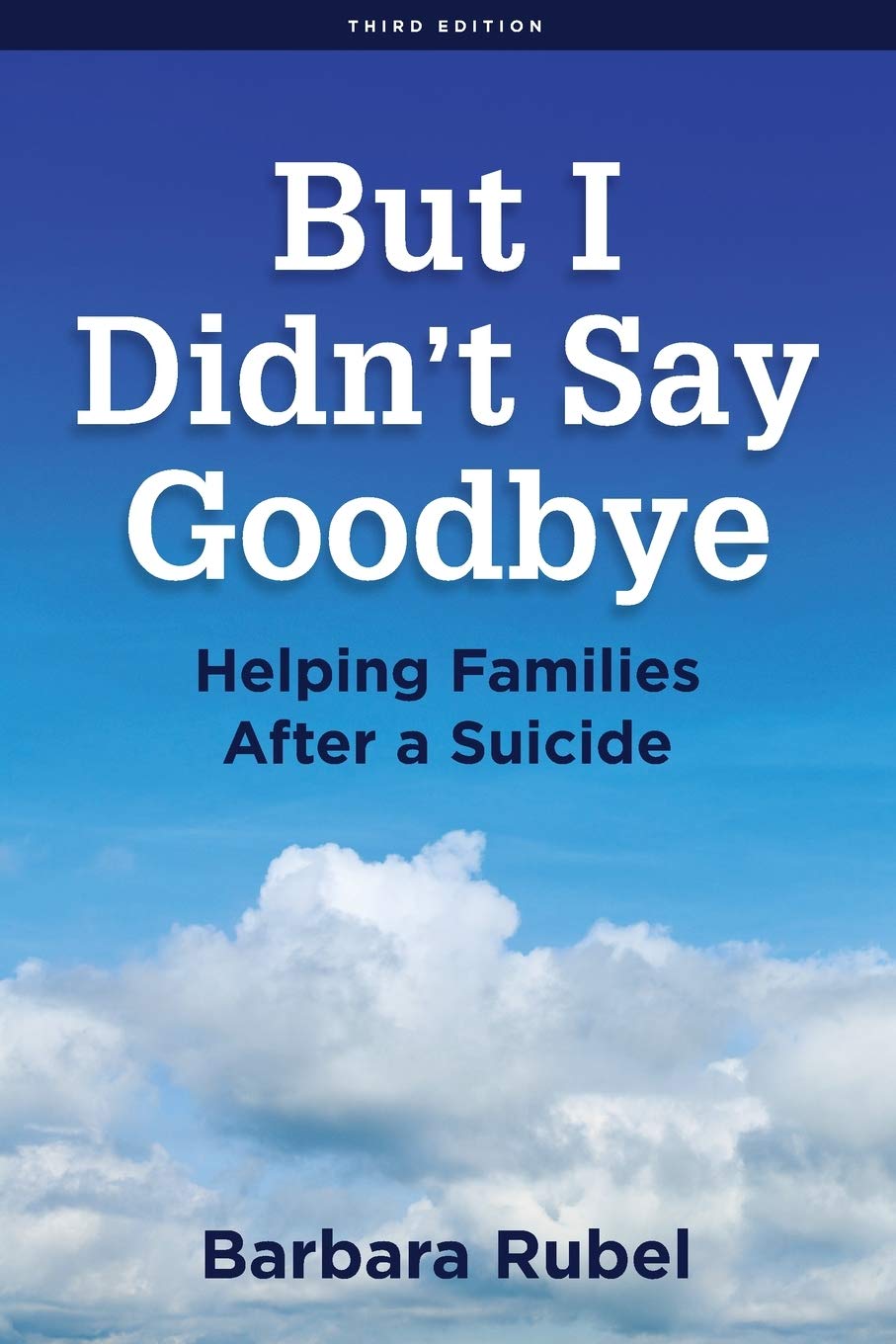 But I Didn’t Say Goodbye: Helping Families After a Suicide