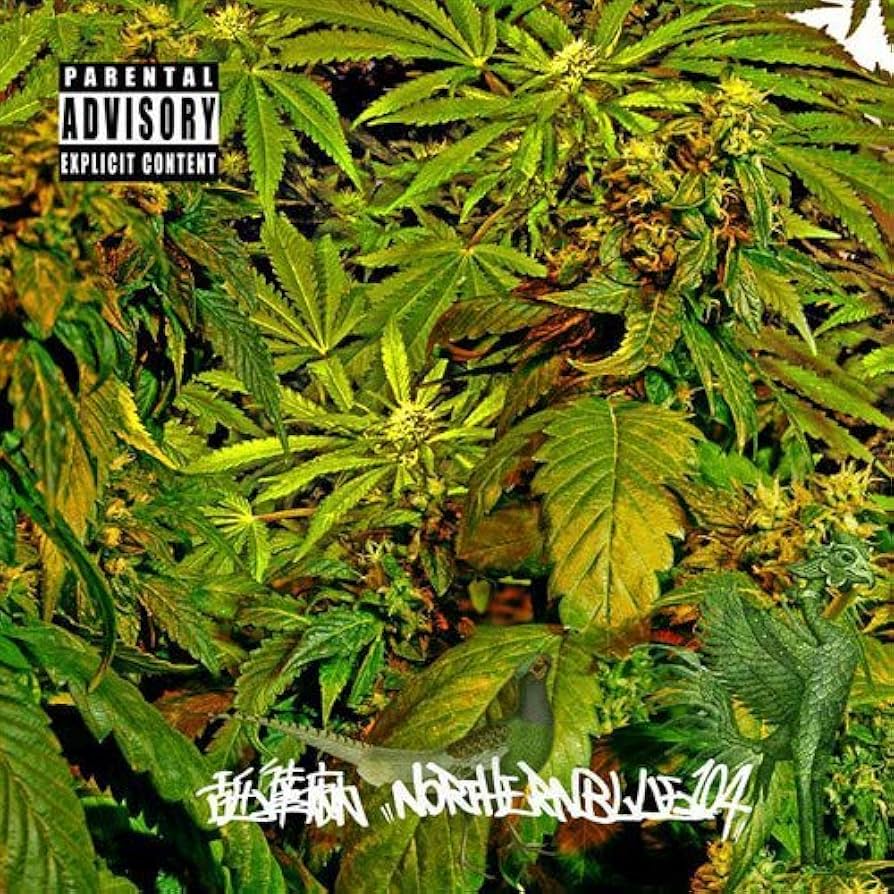 2枚　新品未開封　レコード　舐達麻 northernblue 1.0.4 LP Amazon.co.jp: NORTHERNBLUE1.0.4.: ミュージック