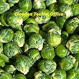 Croydon Tourist Office