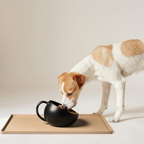 Miniatura 10 de DogBuddy Cuencos para perros, cuencos para perros grandes, tazón antideslizante para perros, tazón de agua para perros, cuencos de comida para