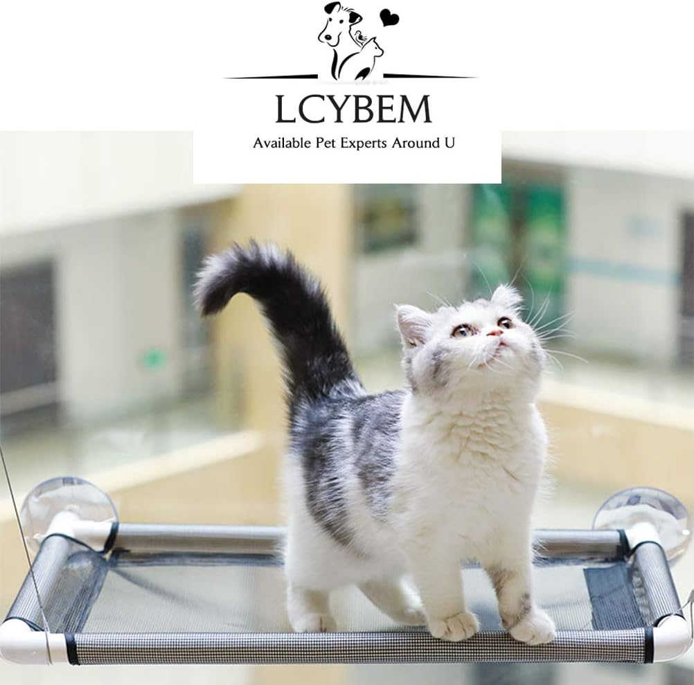 Lcybem Cat Hammocks for Window - Seat Suction Cups Space Saving Cat Bed, Pet Resting Seat Safety Cat Window Perch for Large Cats, Providing All Around 360° Sunbath for Indoor, Weighted up to 33lbs : Pet Supplies