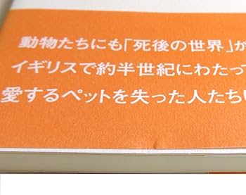 生きてても死後 61AL28VNSZL._AC_UL210_SR210,
