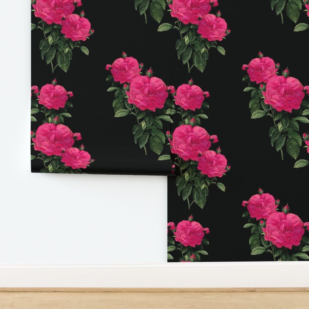 Peel & Stick Wallpaper Swatch - Rose Hot Pink Black Floral Roses Romantic Fuchsia Spring Custom Removable Wallpaper by Spoonflower