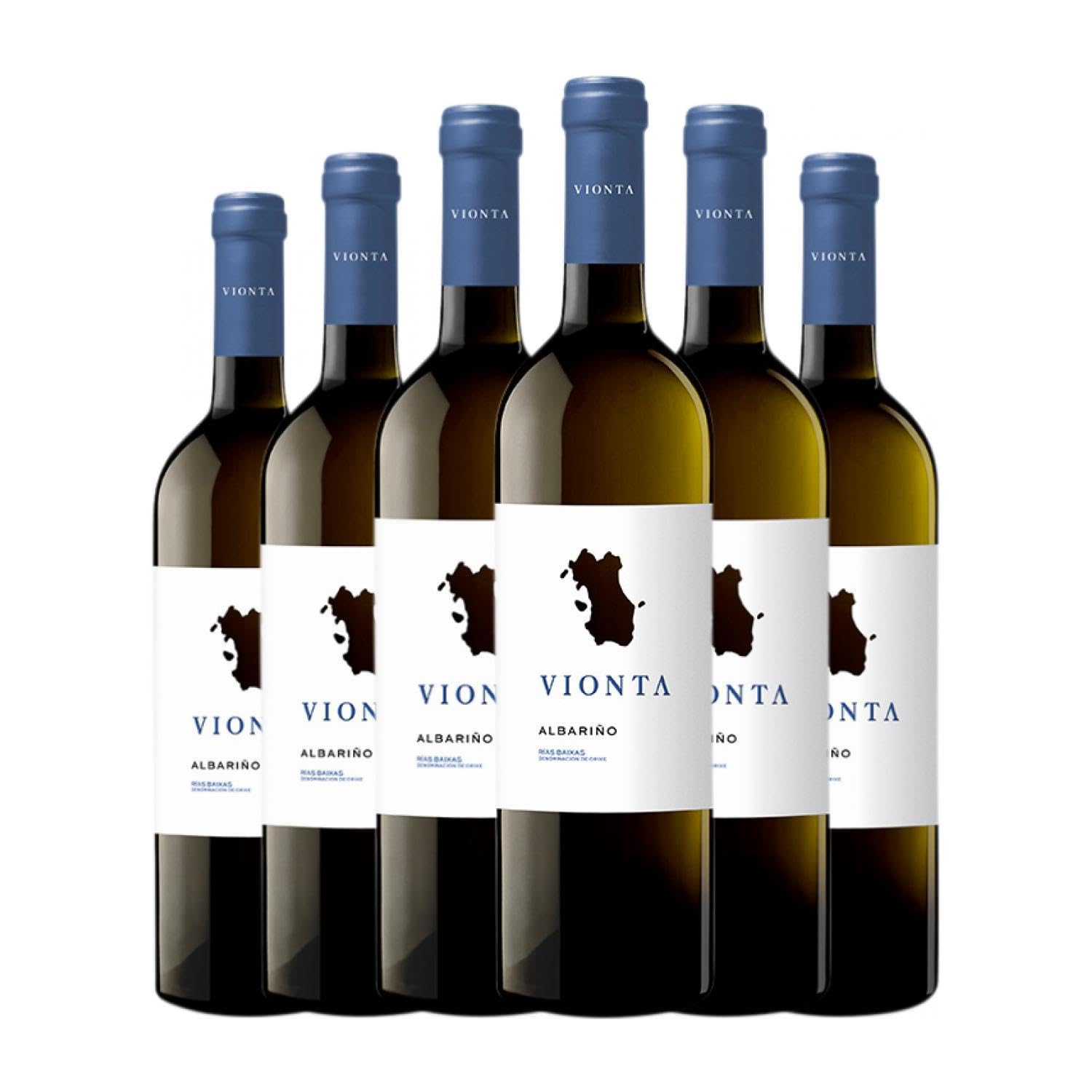 Vionta Albariño Rías Baixas 75 cl Vino blanco (Caja de 6 Botellas de 75 cl)