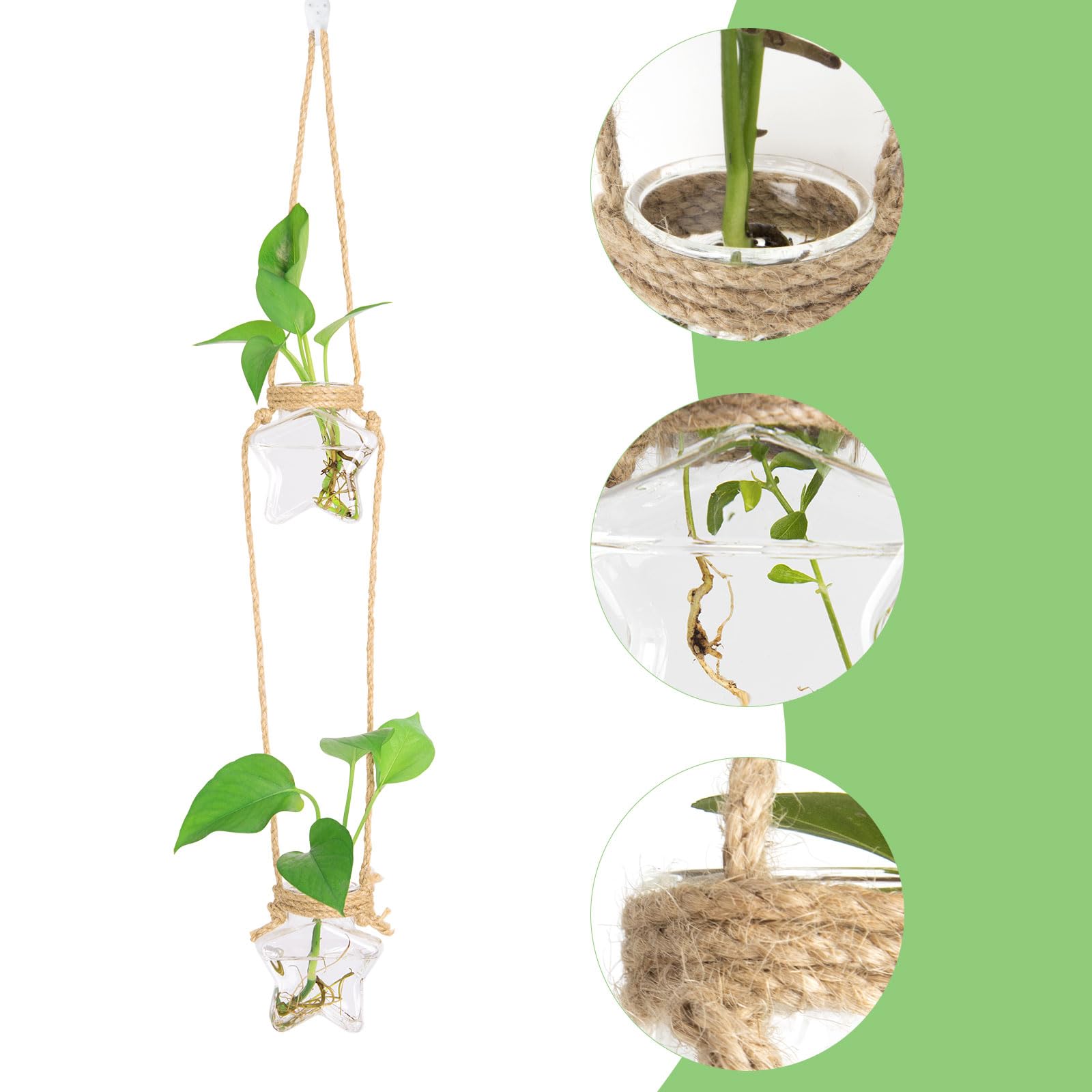 XXXFLOWER Baumförmiges Glas-Pflanzgefäß – 14,7 Cm, Borosilikatglas, Für Stecklinge & Deko