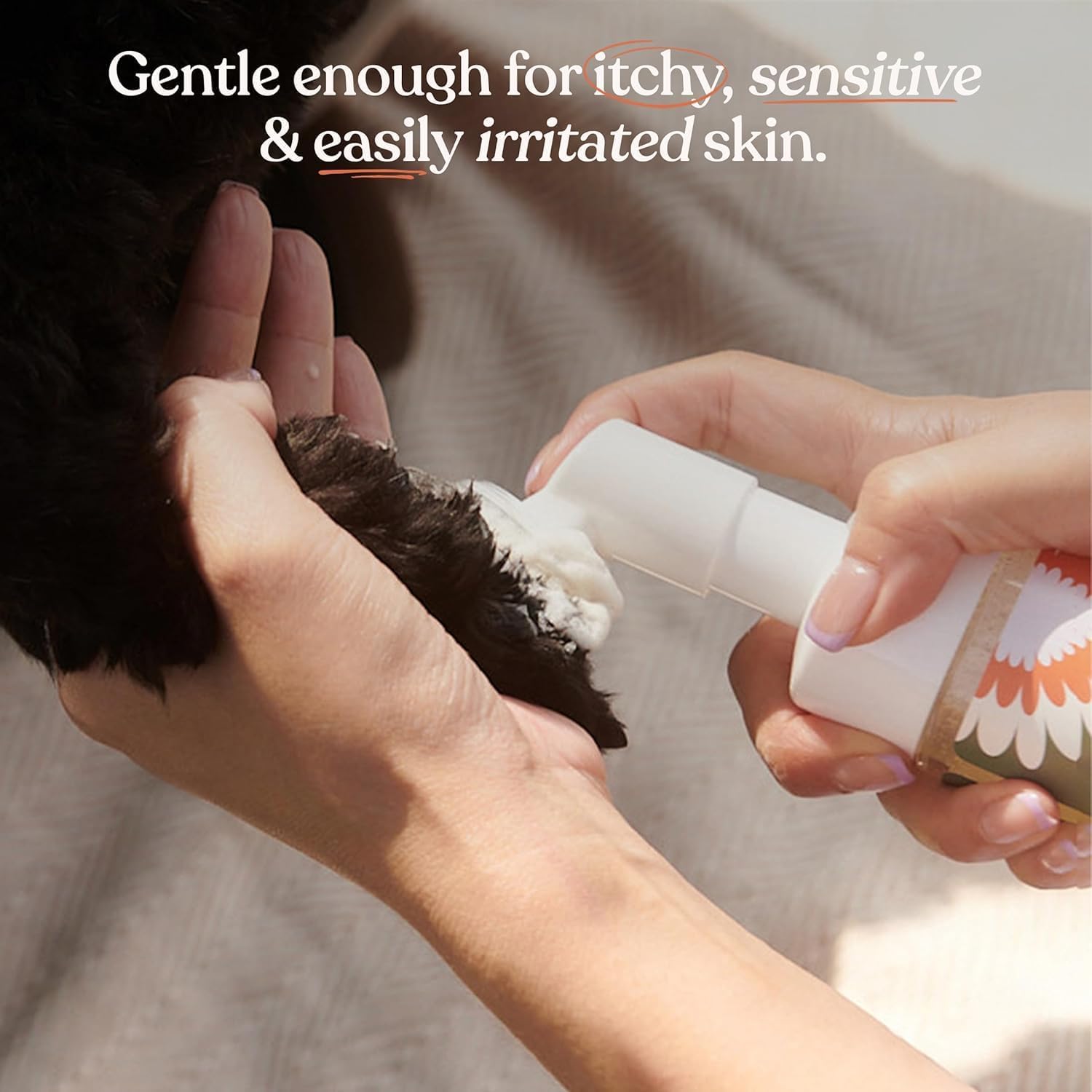 Dandylion Dandylion Clean Paws | No-Rinse Dog Paw Cleaner & Dog Paw Washer | Fragrance-Free, pH Balanced Foaming Cleanser with Silicone Bristle Brush | Designed for All Breeds & Sizes | 5 fl oz 5 Fl Oz Bottle with Brush in use