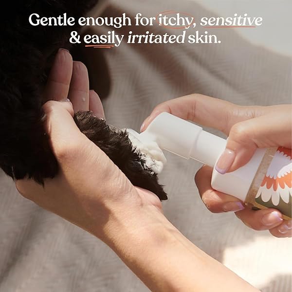 Dandylion Dandylion Clean Paws | No-Rinse Dog Paw Cleaner & Dog Paw Washer | Fragrance-Free, pH Balanced Foaming Cleanser with Silicone Bristle Brush | Designed for All Breeds & Sizes | 5 fl oz 5 Fl Oz Bottle with Brush in use