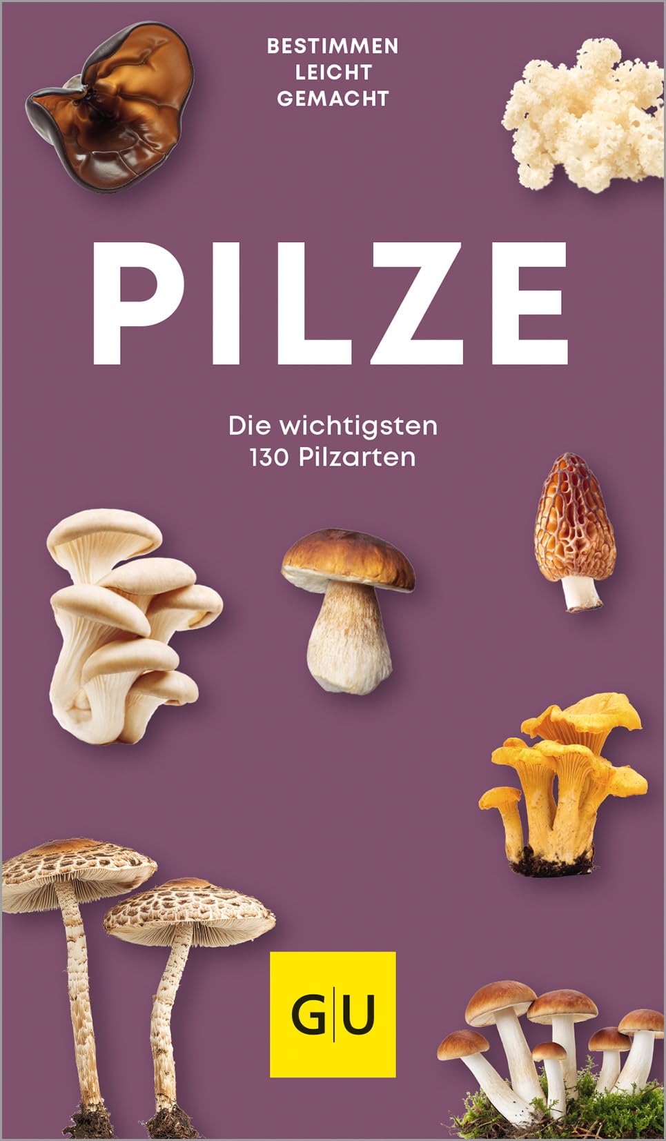 Pilzführer: Pilze sicher bestimmen
