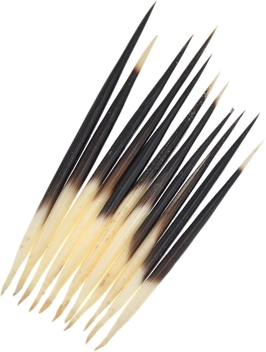 10Pcs Porcupine Quills Hair Stick Indian Crafts Accessories Fishing Buoy DIY 6 7 Sewing Project Kits