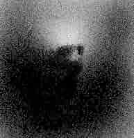 Boundaries - Death Is Little More レコード Boundaries – Death Is Little More | Releases | Discogs