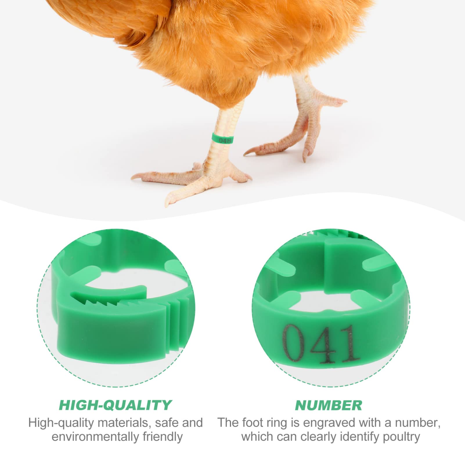 anelli identificativi per pollame, Fasce for cosce di pollame Num anelli identificativi for pollo e anatra, confezioni multiple da 2-3 for una facile gestione(Green,3 packs)