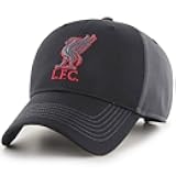 Liverpool FC Charcoal Liverbird Hat