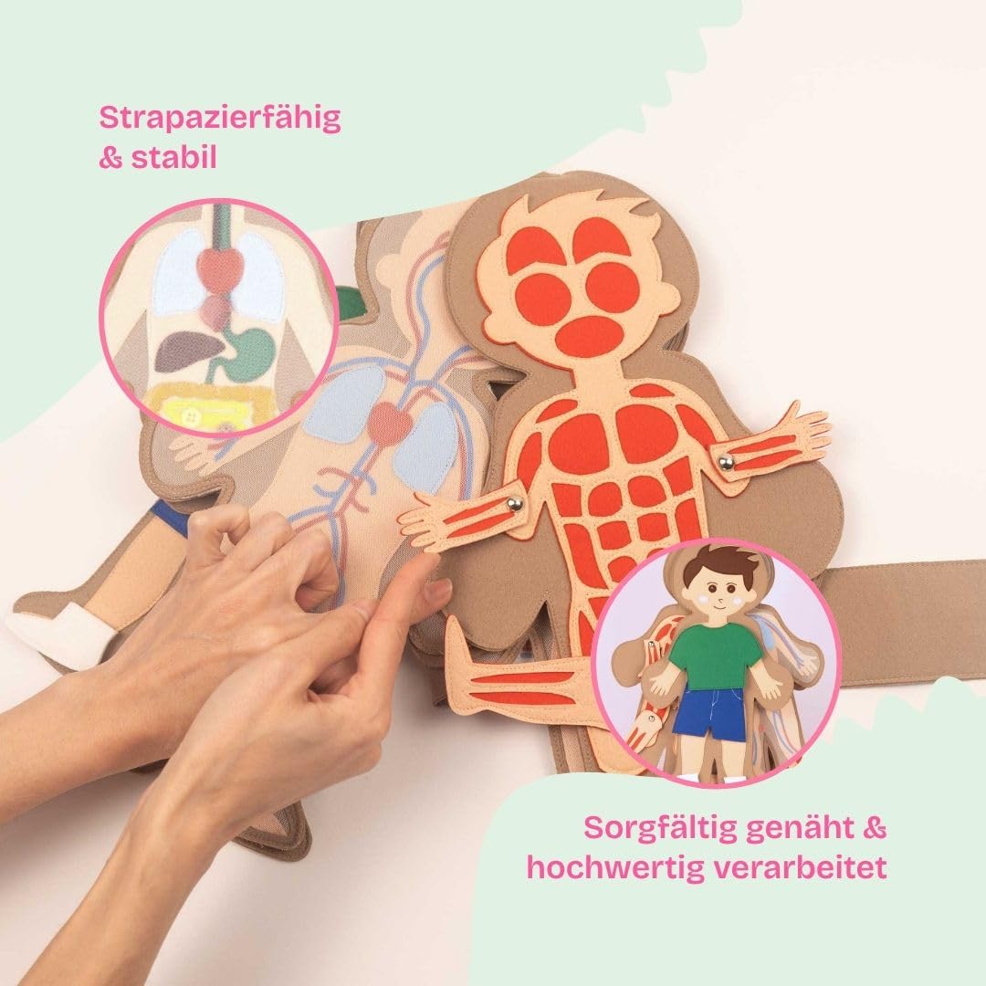 Jolly Designs Travel Buddy „Mein Körper – Junge“ – Interaktives Lernspielzeug zum menschlichen Körper – Montessori Spielzeug aus Filz – Fördert Feinmotorik & Körperwissen – Ideal für unterwegs