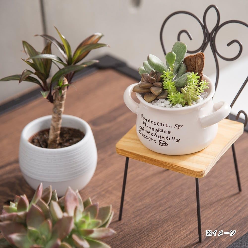 47センチ×40センチ×10センチ　脚付き花台 Amazon | カインズ(CAINZ) ワイヤー 花台 チェア 幅10cm 奥行き