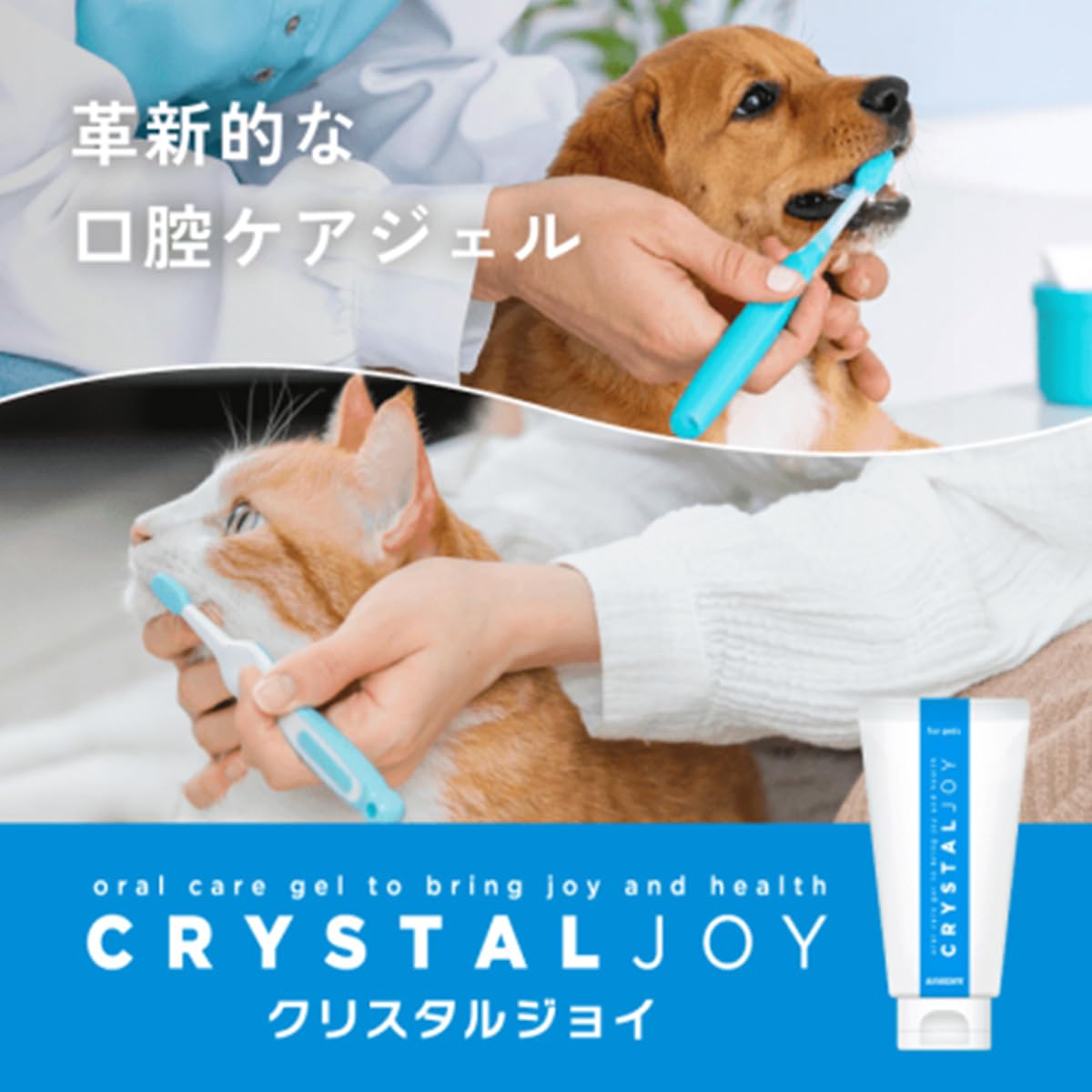 Amazon.co.jp: 【アニコム】 CRYSTAL JOY クリスタルジョイ （犬猫用
