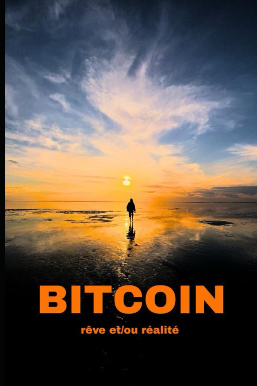 BITCOIN : la conscience comme arme, la liberté comme issue: rêve et/ou réalité