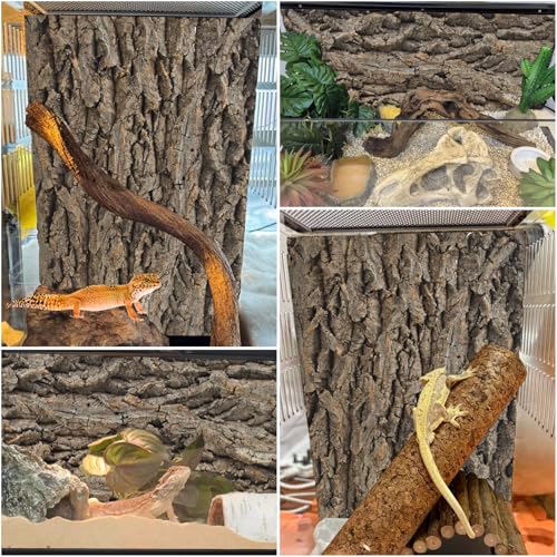 PINVNBY 2 peças de fundo de réptil para terrário, 40 x 30 cm de cortiça natural, dragão, habitat, de