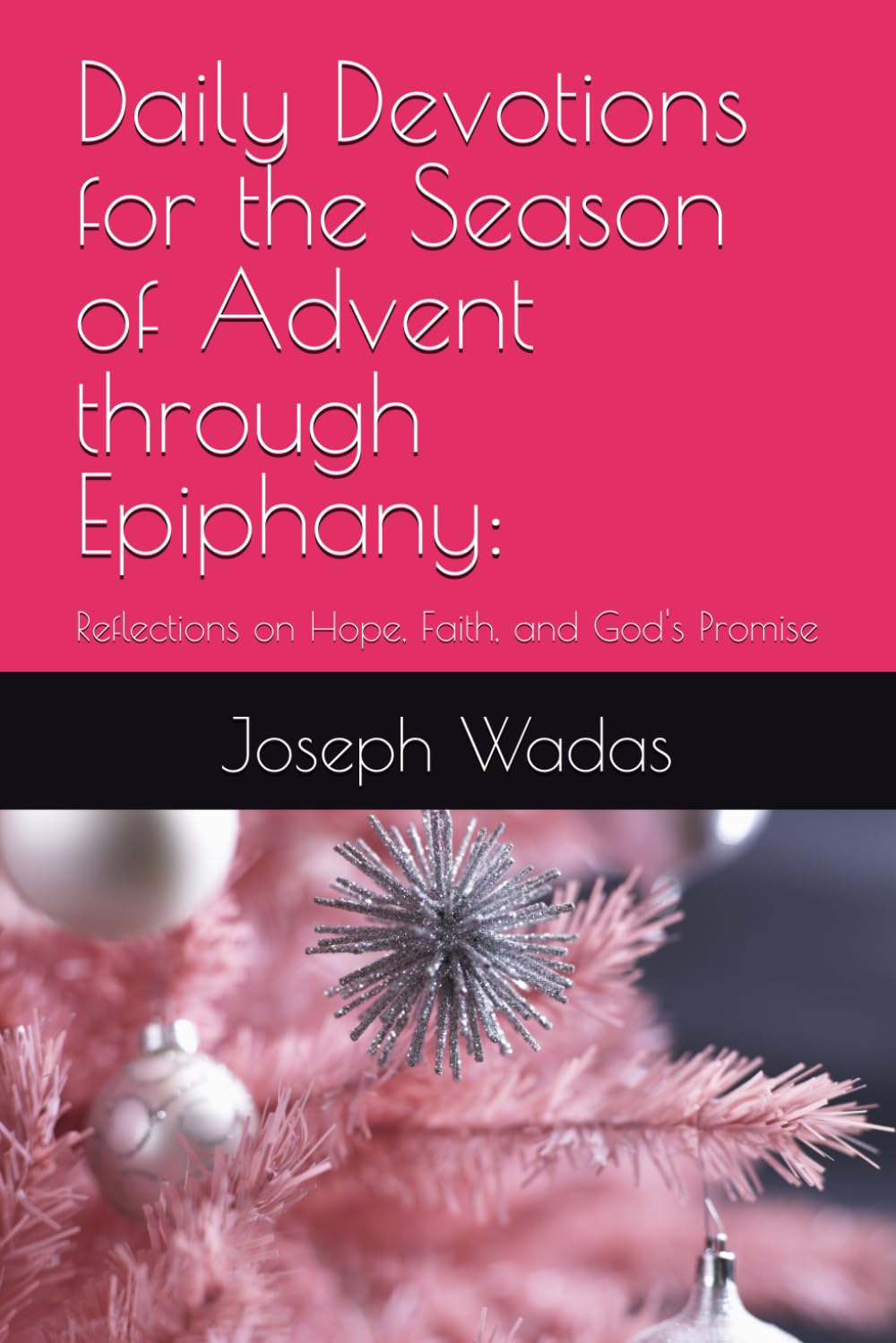 Daily Devotions for the Season of Advent through Epiphany:: Reflections on Hope, Faith, and God's Promise