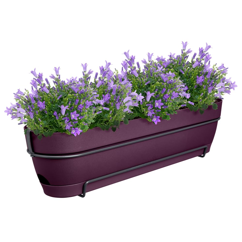 Elho Vibia Campana Trough Allin1 70 - Jardinera por Balcón - Ø 70.4 x H 17.7 cm - Morado Arce