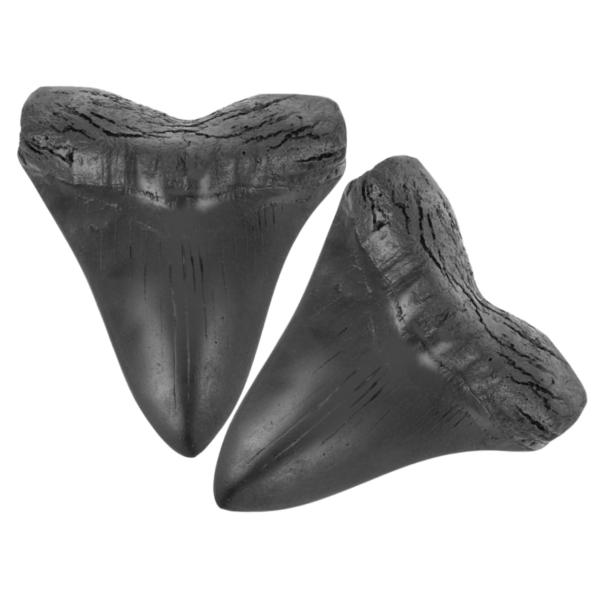 GOOHOCHY 2pcs Megalodon Giant Replica Megalodon Replica Specimen Teeth Giant Shark Sample Teeth Fake Megalodon Teeth Megalodon Shark Teeth Decor Teeth Props Black