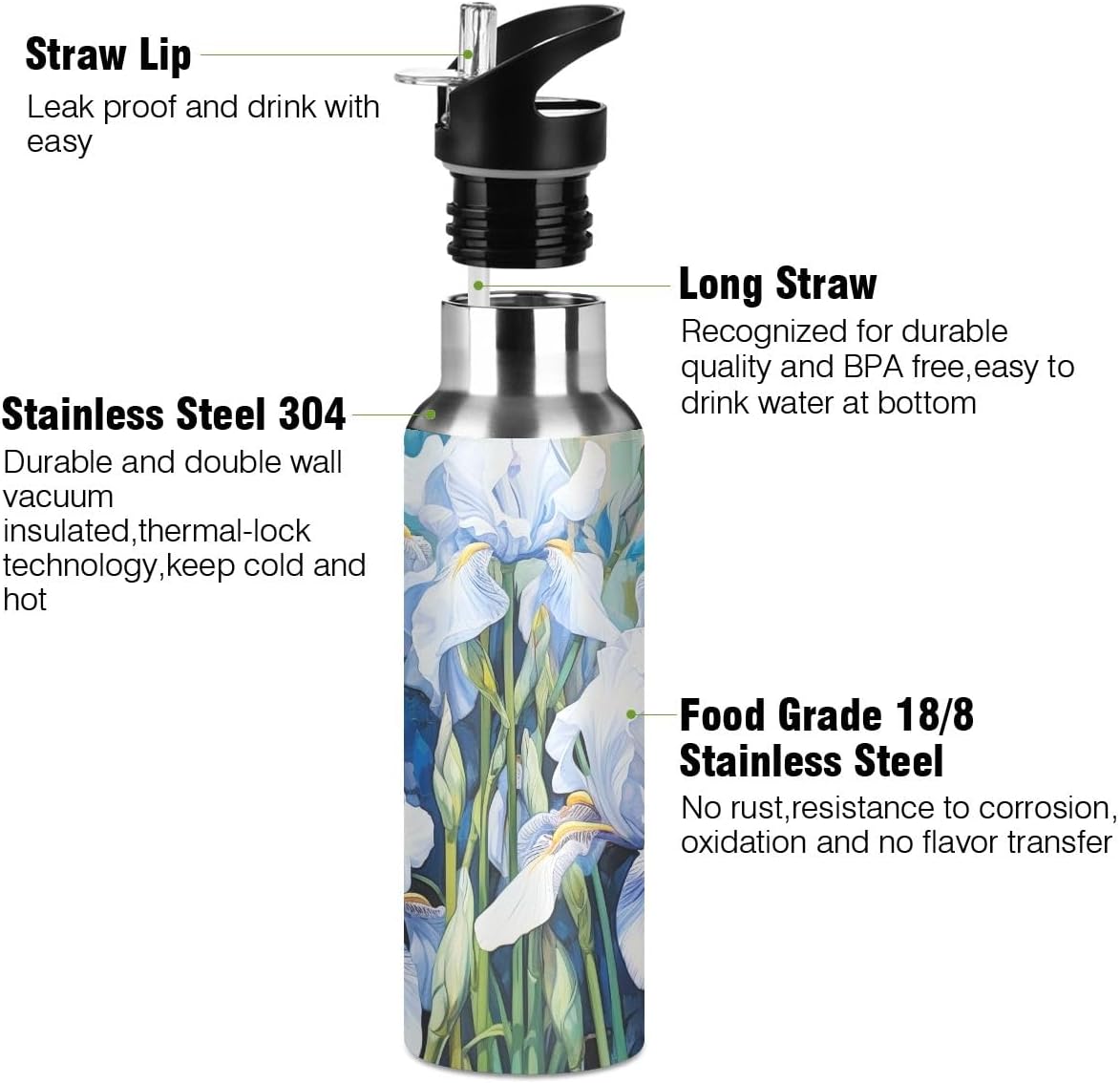 Insulated Water Bottle with Straw Stainless Steel Metal Bottles Iris Painting Sports Gym Leakproof 20 oz for Women