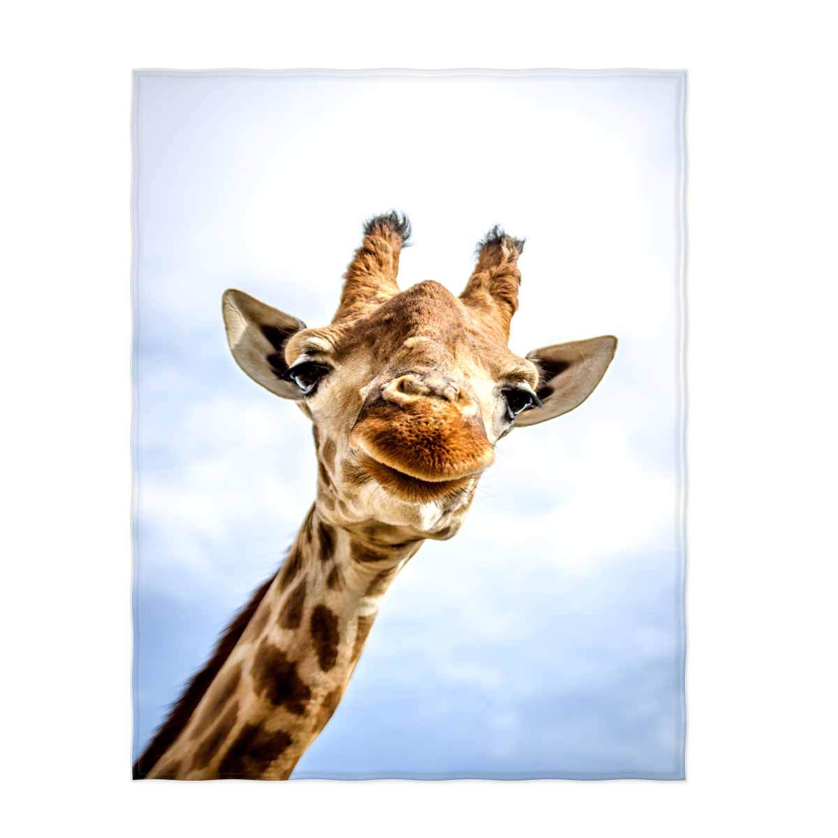 QH 50x80 Inch Cute Giraffe Pattern Super Soft Throw Blanket for Bed Couch Sofa Lightweight Travelling Camping Throw Size for Kids Adults All Season