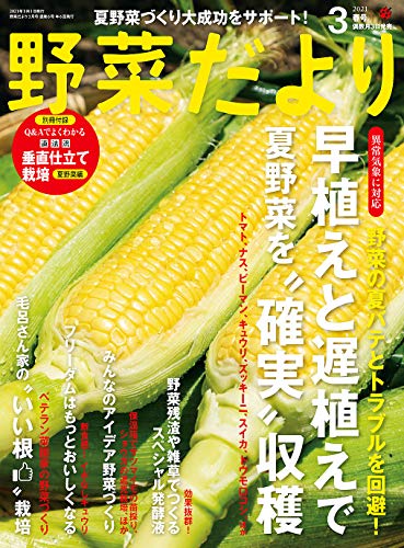 野菜だより2021年3月号 [雑誌]