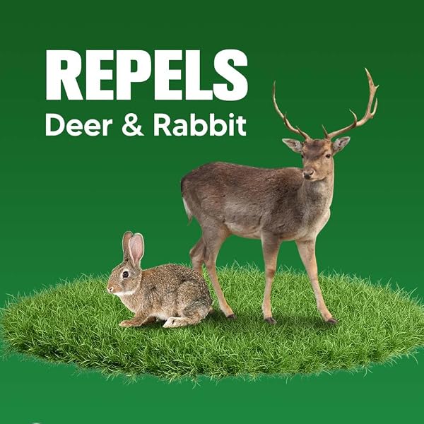 Deer Repellent for Plants, Rabbit Repellent Outdoor, Deer Away Repellent for Garden, Trees and Lawn, Rabbit Repellent for Plants, Safe for People, Pets and Plants, Lasts Up to 60 Days, 8 Packs - 2
