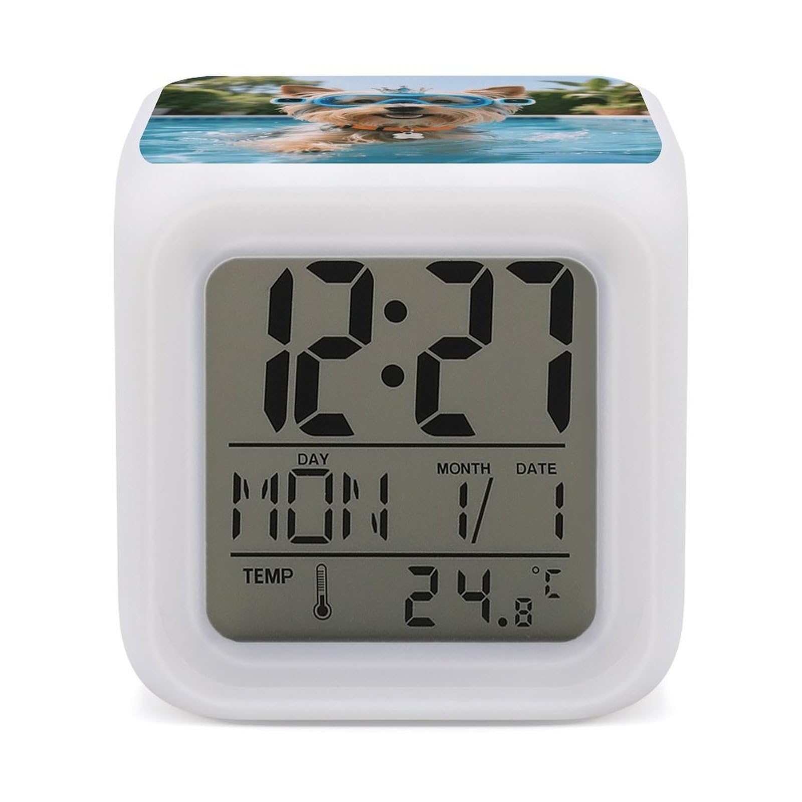 Reloj despertador de Yorkshire Terrier para regalar en cumpleaños con luces de colores