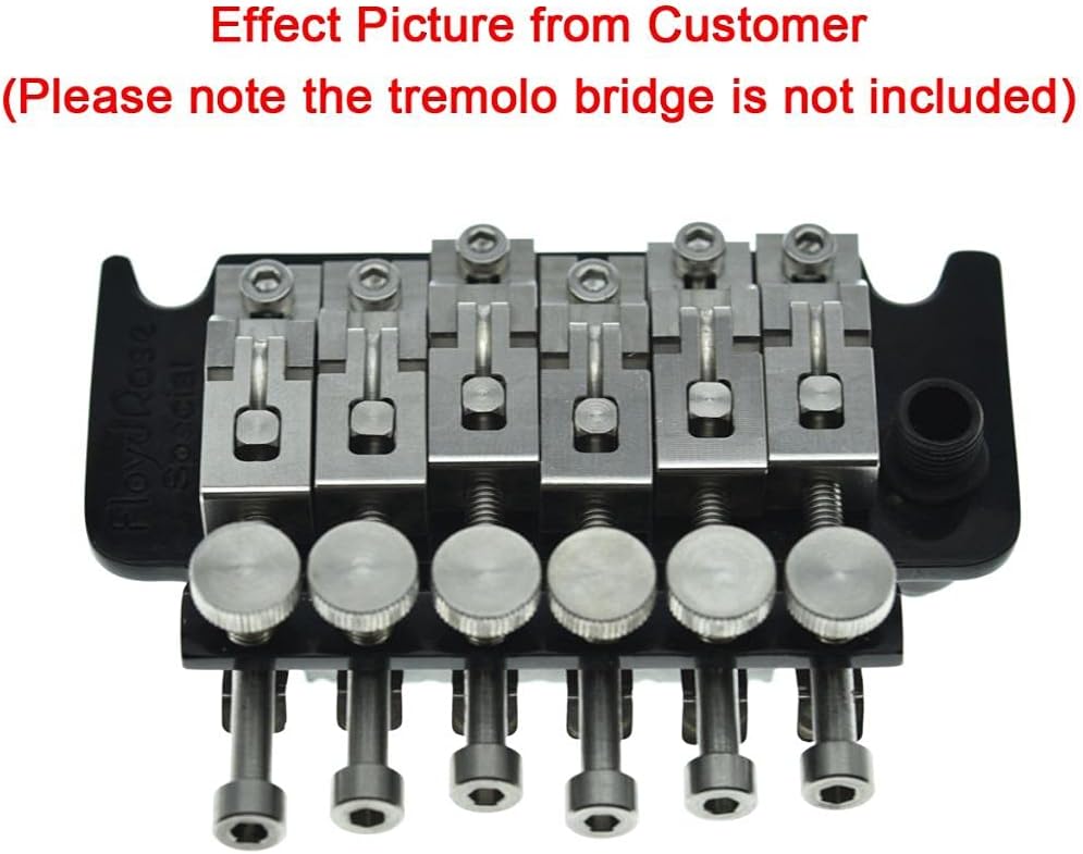 KAISH Guitar Stainless Steel Double Locking Tremolo Bridge Saddles and Screws for Floyd Rose Tremolos