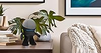 Vista 2 de Splin Soporte de mesa compatible con Yaxa Alexa Smart Speaker Echo Dot (4ª y 5ª generación) y Apple HomePod Mini, Mr. Bill (negro)