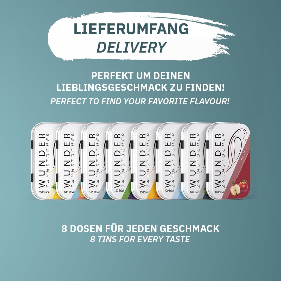 All in One Box – 8 Sorten in Metalldosen | Zahnstocher mit Geschmack Set - Probierbox & Geschenkidee