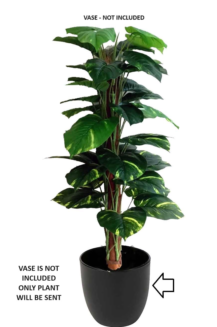 HYPERBOLES Indoor Artificial Plant Big Size Money Plant Tree Witout Vase for Home Decor - 5Feet 2