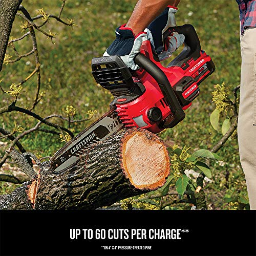 image for CRAFTSMAN V20 Cordless Chainsaw with Battery and Charger Included, 12-
