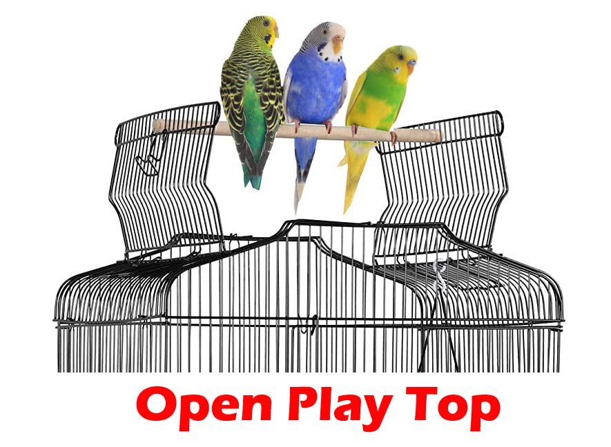 鳥籠 Amazon.com: 大號開口頂金絲雀鸚鵡鸚鵡Lovebird Finch 鳥籠- 長
