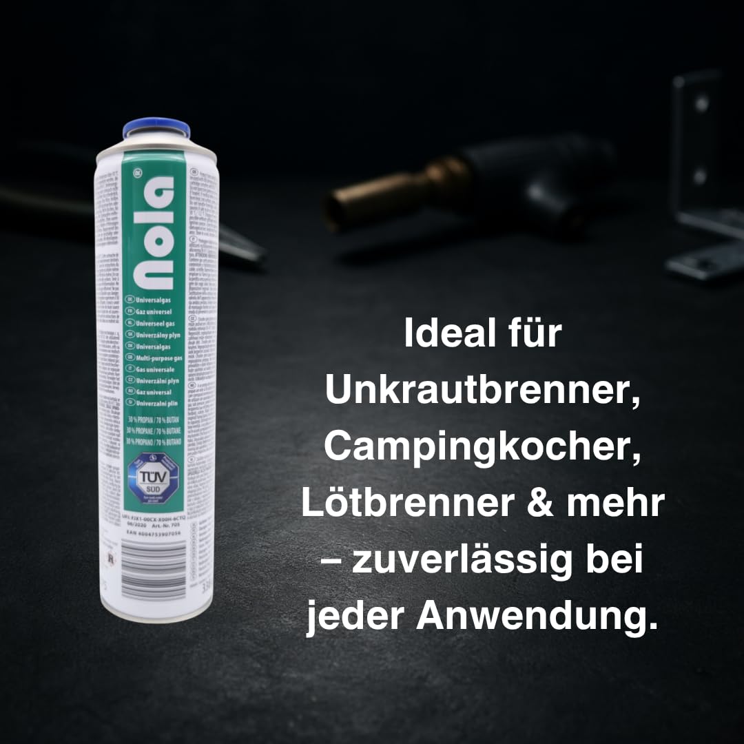Weber 17669 - driepak gasbusjes - met butaan--propaangas
