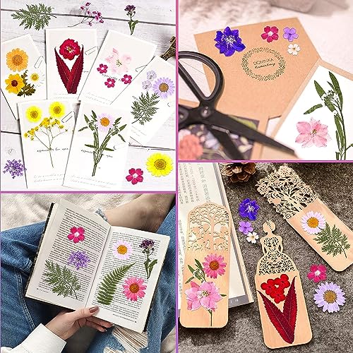 Flores secas coloridas prensadas 42 piezas para manualidades miniatura 6