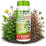 Albagarden - Diserbante Totale Glifosate Gliphogan Top Erbicida Per Diserbo Erbacce Ad Azione Disseccante Seccatutto Per Gramigna A Base di Glifosato Glyphosate Libera Vendita