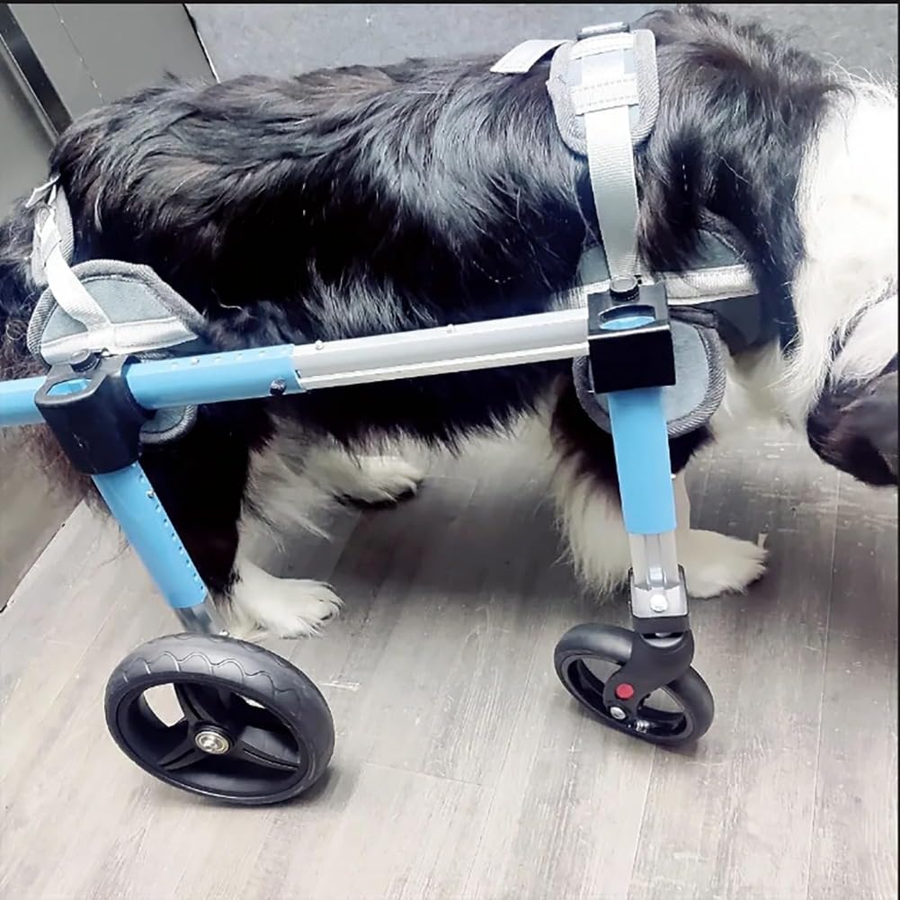Amazon | 犬 車椅子 の犬用車椅子 4 輪から 2 輪にできます 障害