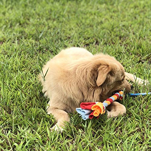 Dewonch Dog Fleece Rope Teaser Toy As Replacement To Chase And Tug (A-2Pcs) #TOP1