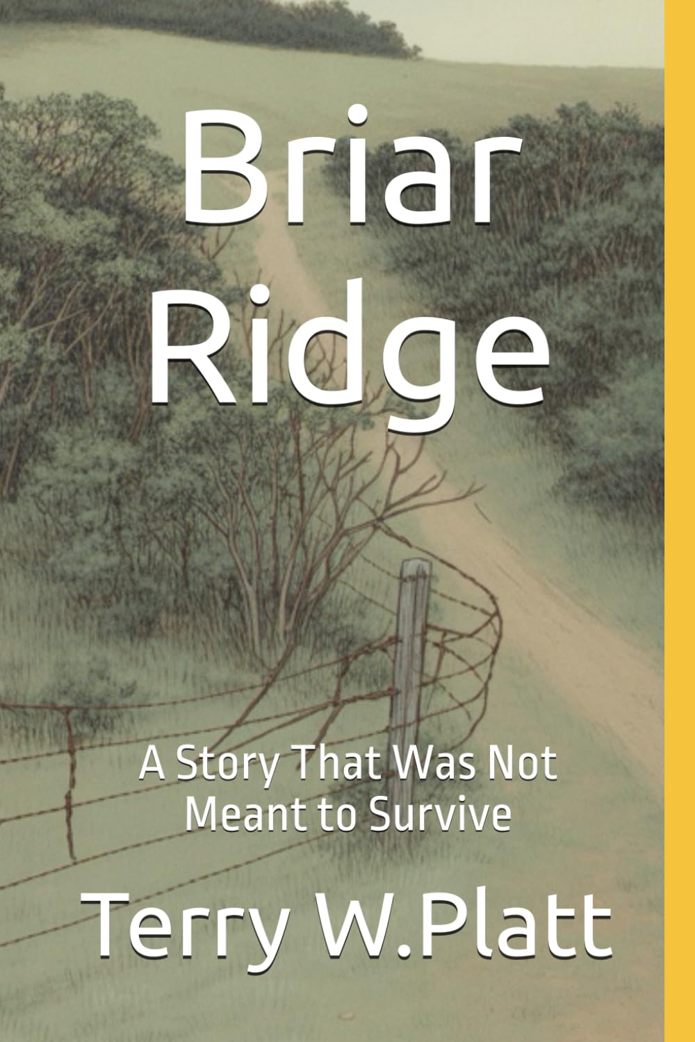 Briar Ridge: A Story That Was Not Meant to Survive (America's Silent Stories)