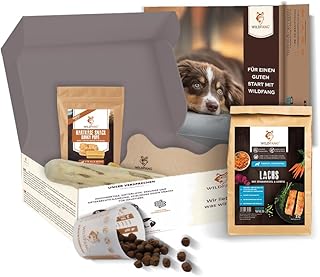 Wildfang® Paket Willkommen Puppy kleine Hunde, Welpen, Starterset für Welpen, Welpenbox, getreidefreies Trockenfutter für Hunde, Yak-Cheese, Lederknochen, Kaffeeholz Kaustab