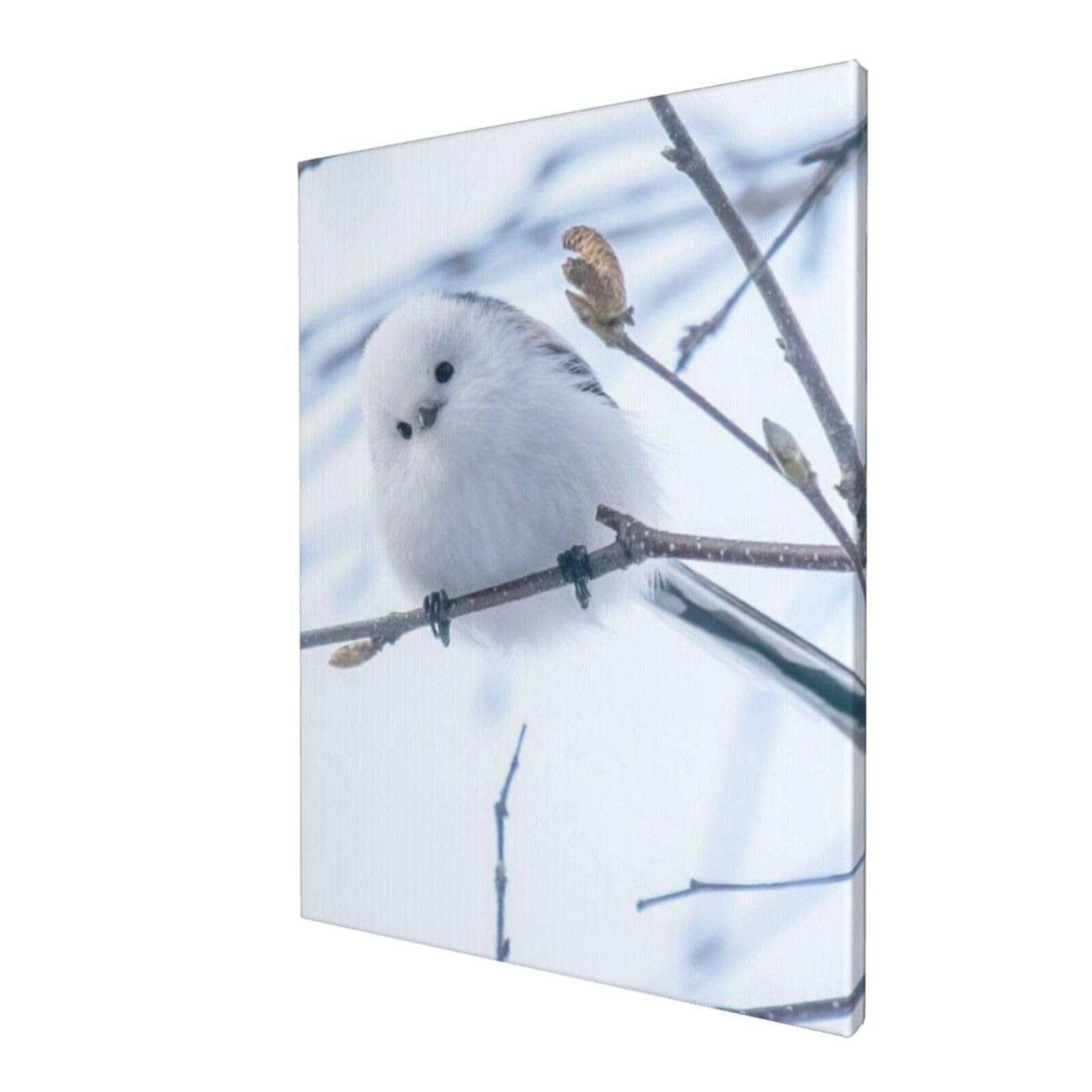 Amazon.co.jp: シマエナガ かわいい 鳥 パネル ポスタシー アート